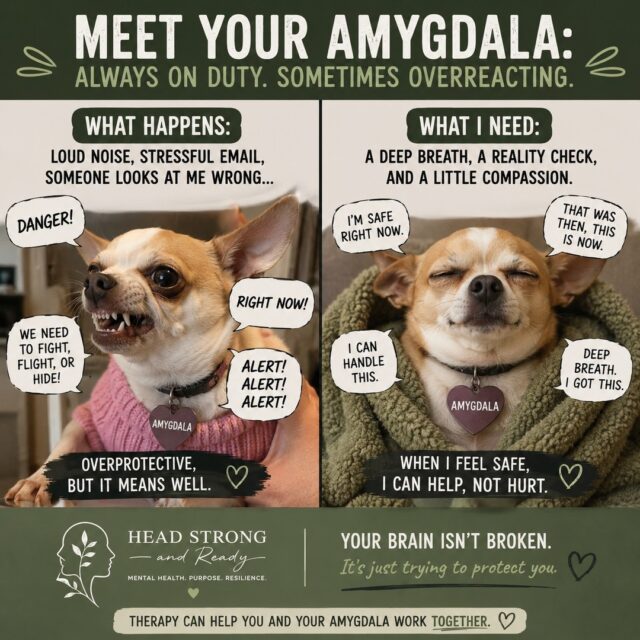 Ever feel like your brain hit the 🚨 PANIC BUTTON 🚨 before you even had a chance to think?
Meet your amygdala—the part of your brain that's always scanning for danger. Its job is to keep you safe... but sometimes it gets a little too enthusiastic and mistakes a stressful email, awkward conversation, or unexpected change for an actual emergency. 😅
The good news? Your brain isn't broken.
With practice—and often with the support of therapy—you can teach your nervous system the difference between a real threat and everyday stress. Over time, your brain can learn to pause, regulate, and respond instead of reacting automatically.
💚 Therapy can help you:
• Better understand your stress responses
• Learn tools to calm your nervous system
• Build resilience and emotional regulation
• Feel more in control when life feels overwhelming
Your amygdala is trying to protect you—not sabotage you. Sometimes it just needs a little help from the rest of your brain. 🧠✨
If you've ever joked that your anxiety "has a mind of its own," you're not alone—and support is available.
📞 (858) 362-5331
🌿 HeadStrongAndReady.org
#MentalHealthMatters #Amygdala #NervousSystem #BrainScience #TherapyWorks #MentalWellness #StressManagement #AnxietySupport #HeadStrongAndReady #EmotionalRegulation #Psychology #YouAreNotAlone